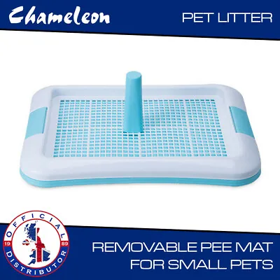 £15 • Buy Small Pet Puppy Dog Potty Toilet Loo Pee Litter Tray Training Pad Indoor Holder