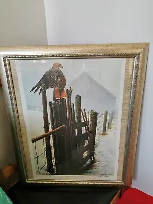 Michael Dumas Borderline Red Tail Hawk Limited Edition Print  Signed • $182.07