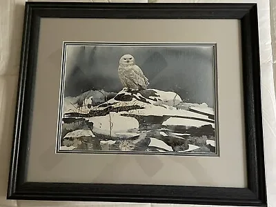  Morten Solberg Snowy Owl Limited Edition Signed Watercolor Print #127/750 • $129.95
