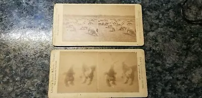 Lot Of 2 Vintage Stereoview Cards Liberty Brand New Educational Series (2004) • $7.50