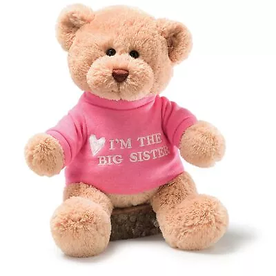 GUND I'm The Big Sister T-Shirt Teddy Bear Stuffed Animal Plush Pink 12” • $18.89