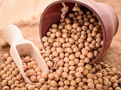 Bulk Vegan Soybeans (22Lbs) Gluten Free Great For Salad Sprouts Grown In Iowa  • $64.96
