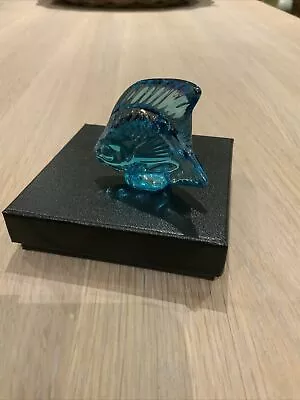 Lalique Crystal Fish Sculpture Colour TURQUOISE LUSTRE 10205600 BRAND NEW BOXED • £64