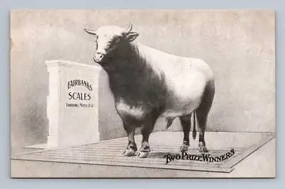 Fairbanks Morse Scale Advertising  Prize Winner 96 Lbs  Montana State Fair 1910s • $19.99