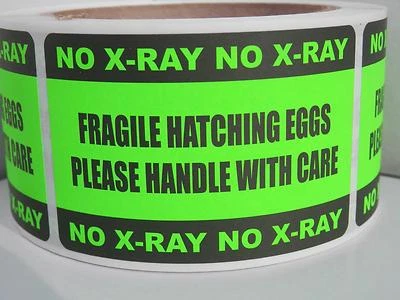 250 Sticker Labels FRAGILE HATCHING EGGS HANDLE/CARE NO X-RAY 2x3 Fluor Green • $19.10