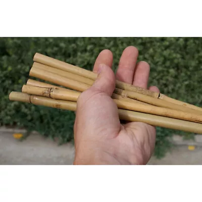 60 Cm - 120 Cm Large Strong Bamboo Canes Poles Garden Plants Support Stakes • £8.98