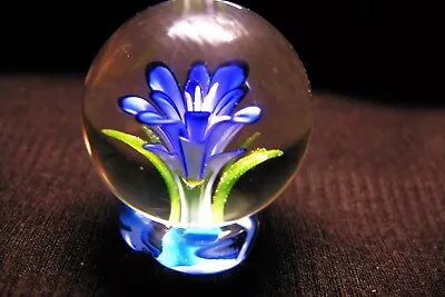 TJ Art Glass Borosilicate Blue Flower Implosion Marble • $25