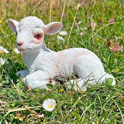 Lamb Garden Animal Ornament Laying Baby Sheep Outdoor Statue • £17.99