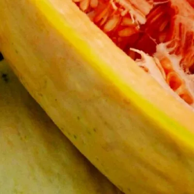 Banana Melon Seeds | NON-GMO | Heirloom | Fresh Garden Seeds • $32