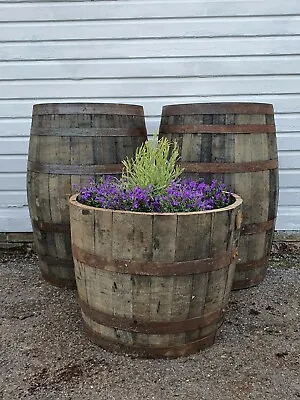 Large 50cm Tall Oak Half Barrel Tree Shrub Bush Flower Garden Planter Pot Tub • £49.99