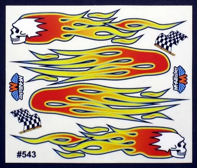 RC Car Decals 1/10th Flames With Skull Late Models Stock Car Oval 543 • $9.99