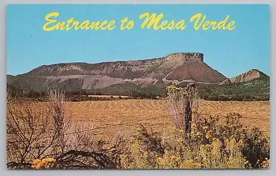 Mesa Verde Colorado~Park Entrance~Wildflowers On Barb Wire Fence~Ute Mtn~1950s • $1.60