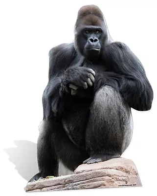 Gorilla  Lifesize Cardboard Cutout Fun Figure 126cm Tall - Great For Your Party • £39.99