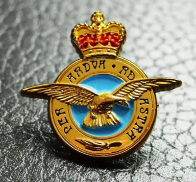 RAF Royal Air Force Limited Edition Pin Badge UK Veteran 2024 REMEMBRANCE Pin • £5.50