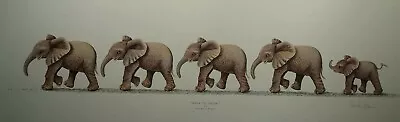 £27.99 • Buy Back To Front By Warwick Higgs Elephants