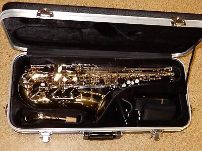 Selmer SAS201 Standard Alto Saxophone - Mint 2023 Model - Only 3 Months Old • $1095