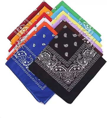 Xl Extra Large Paisley Bandana Paisley Mouth Protection Scarf Neck Biker Mask • £3.99