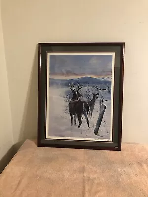 Charles H Denault Deer Print #140/550 Signed 25”x20” Matted & Framed  • $99.99