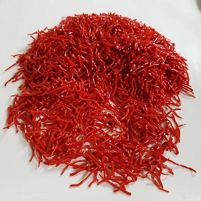 25 CT Natural Raw Italian Red Coral Polish Branch 15-30 Mm Sea Coral Rough Stick • $27.41