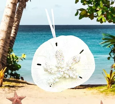 Sand Dollar Ornament Star Fish Nautical Beach Mermaid Tropical Island Iridescent • $10.99