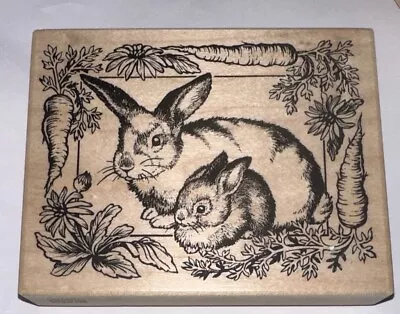 PSX Rubber Stamp Easter Bunny Rabbit With Carrot Border Baby Mama Flower K-1740 • $14.99