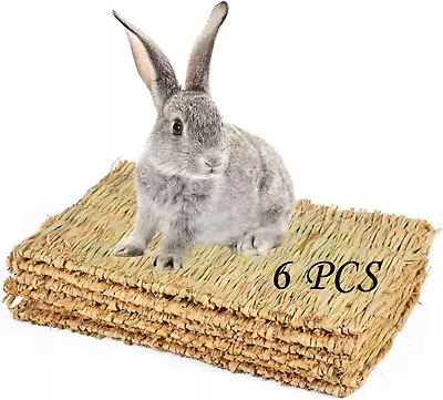 PINVNBY Grass Mat For Rabbit Bunny Natural Straw Woven Bed Small Animal Cages • $23.04