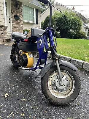 Mini Bike 6hp Tecumseh￼ • $1000