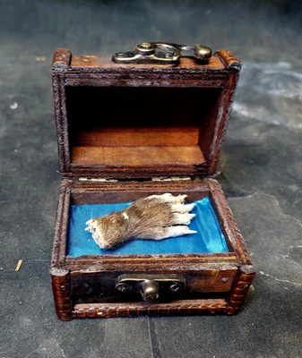 $439 • Buy RARE MUMMIFIED MONKEY PAW,FOLK LURE,SIDESHOW GAFF,Oddity,myth,TAXIDERMY, FREAK