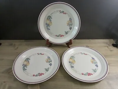 Set Of 3 Corelle Corning Abundance Dinner Plates Vintage Dinnerware-10 1/4  EUC • $13.94