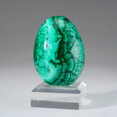 Genuine Polished Malachite Egg (1.7 Lbs) • $850