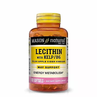 Mason Natural Lecithin With Kelp/Vitamin B6 + Apple Cider Vinegar - 100 Softgels • $9.25