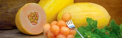 Mango Melon Seeds- Comb. S/H-  See Our Store • $3.49