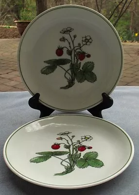 Set Of TWO Horchow Strawberry Salad Or Dessert Plates Spal Of Portugal  • $9.95