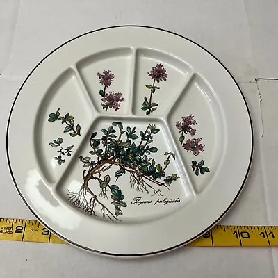 Villeroy & Boch Botanica Thymus Pulegioides Five Section 9-3/4   Porcelain Plate • $35