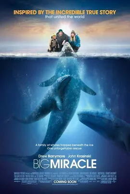 69260 Big Miracle Movie Drew Barrymore Wall Decor Print Poster • $14.95