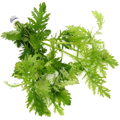 £4.99 • Buy Hygrophila Difformis Water Wisteria Bunch Live Aquarium Aquatic Plant Tropical