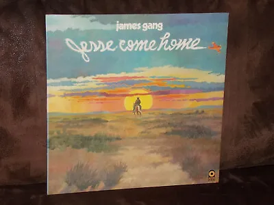 Vinyl-LP: JAMES GANG -  Jesse Come Home (1976) US First Press TOP!!! • £14.44