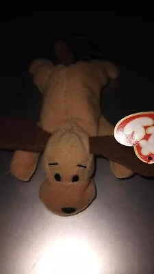 TY Beanie Baby ~Bones~ The Dog *Mini* Tag Attached! • $1.99