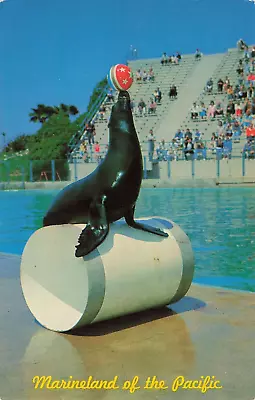 Postcard Vtg Marineland Of The Pacific Palos Verdes Seal Show Closed 2/11/1987 • $7.99