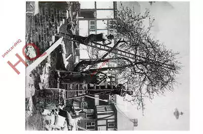 Picture Postcard_ Daily Mail Ideal Home Exhibition 1932 Fixing Blossom To Tree • £2.49