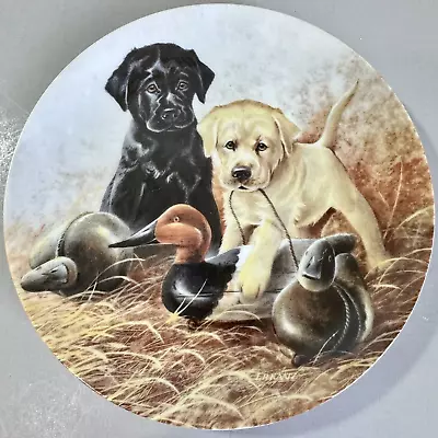 1988 VTG Knowles A Perfect Set~Labrador Retrievers LE Collector Plate #3785B • $14.99