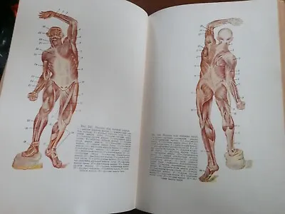 Vintage 1951 CCCP Soviet Russia Human Anatomy Textbook W/ 100s Of  Illustrations • $49.51