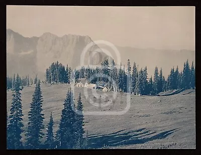 Cyanotype Photo Paradise Park Mt. Rainier. Albert H Barnes. C 1910. Colotype? • $29.95