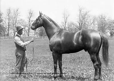 Man O War PHOTO Horse Racing Champion Belmont Stakes Preakness Race Winner • $5.48