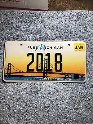 2018 Pure Michigan Vanity Date Plate License Plate 2018 Mackinac Bridge • $98.98