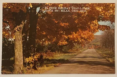 Hi From Holiday Trav-L-Park US 250 Milan Ohio Fall Leaves Vintage Postcard • $5.99