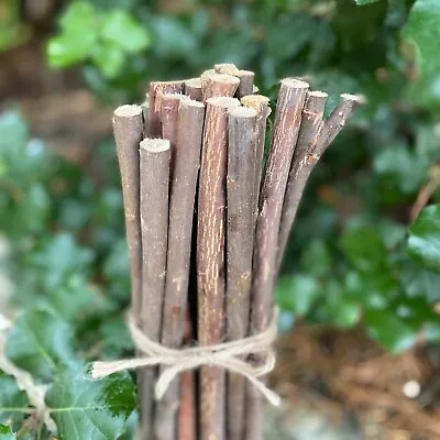 £17.99 • Buy Willow Pea & Bean Garden Plant Support Canes Sticks Stakes 120cm (Pack Of 20) 