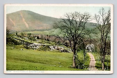 Postcard Road To Mt Greylock Massachusetts MA Berkshires Antique F15 • $12.99