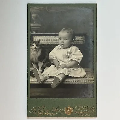 Antique CDV Photograph Adorable Baby With Taxidermy Cat Spooky Odd Russia • $234.95