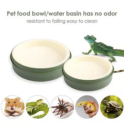 Reptile Water Bowl Food Feeder Dish Plate For Drinking Reusable Feeding Dish • $8.54